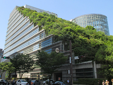 福岡法律事務所